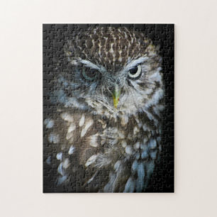 Little Owl Puzzle