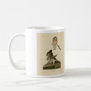 Little Owl (Saw-whet) Audubon's Birds of America Coffee Mug