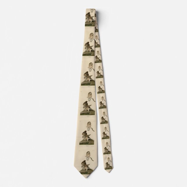 Little Owl (Saw-whet) Audubon's Birds of America Tie (Front)