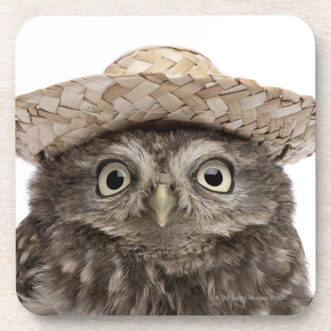 Little Owl wearing a straw hat - Athene noctua Coaster (Front)