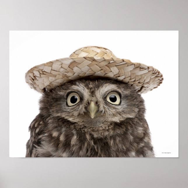 Little Owl wearing a straw hat - Athene noctua Poster (Front)