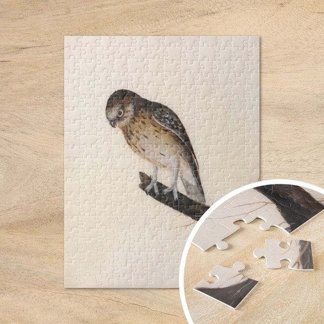 Little Owl | William Lewin Jigsaw Puzzle (Creator Uploaded)