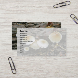 Little Parasols Mushrooms on Log Business Card