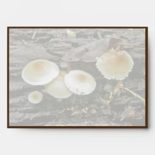 Little Parasols Mushrooms on Log Envelopes