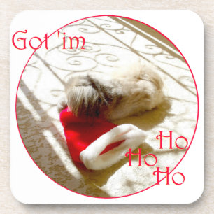 Little Pekingese Grabs Santa Coaster