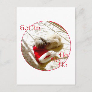 Little Pekingese Grabs Santa Holiday Postcard
