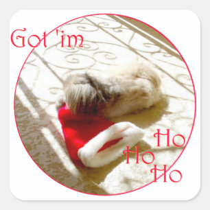 Little Pekingese Grabs Santa Square Sticker
