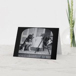 Little Photographer and Her St. Bernard Vintage Card