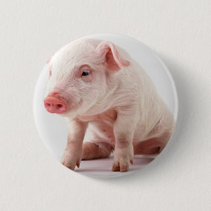 Little Pig 6 Cm Round Badge
