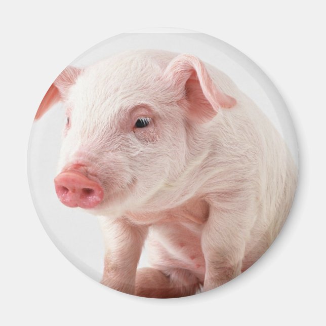 Little Pig Magnet (Front)