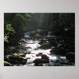 Little Pigeon River 2 Poster