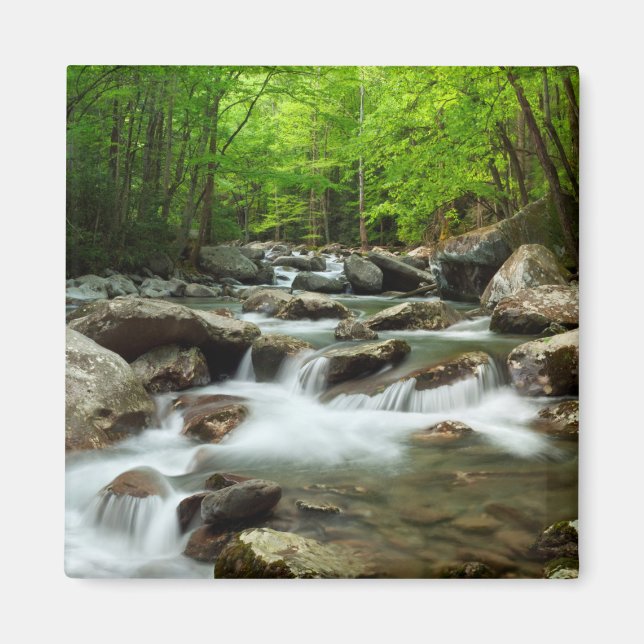 Little Pigeon River at Greenbrier Magnet (Front)
