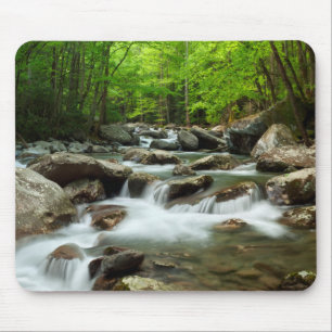 Little Pigeon River at Greenbrier Mouse Pad