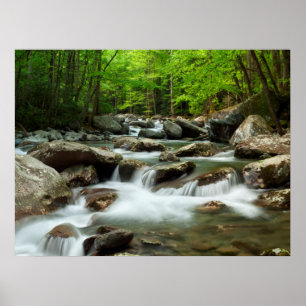 Little Pigeon River at Greenbrier Poster