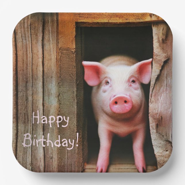 Little Piggy Happy Birthday Paper Plate (Front)