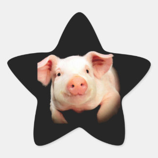Little Piggy Star Sticker