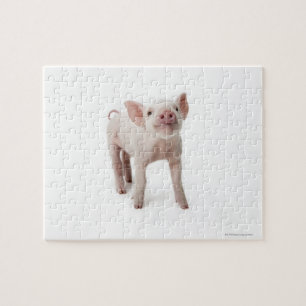 Little Piglet Jigsaw Puzzle