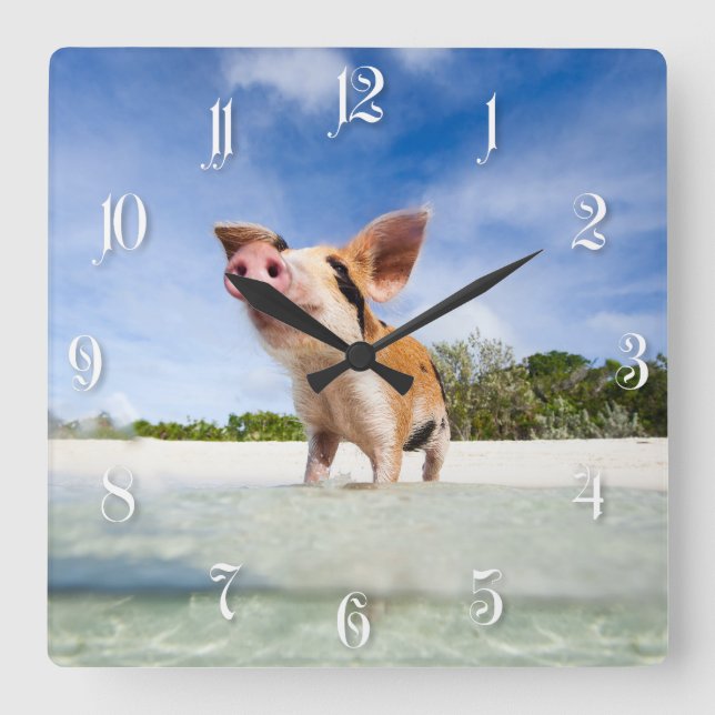 Little piglet square wall clock (Front)