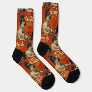 Little Pilchard Album: a Parody Socks