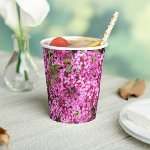 Little Pink Daphne Floral Paper Cups