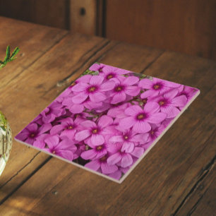 Little Pink Oxalis Flowers Floral Ceramic Tile