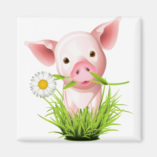 Little pink pig in grass magnet