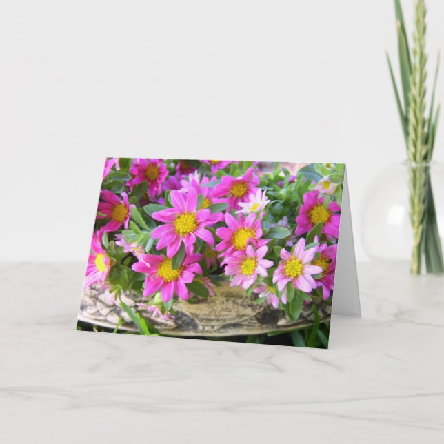 Little Pinks Card (Front)