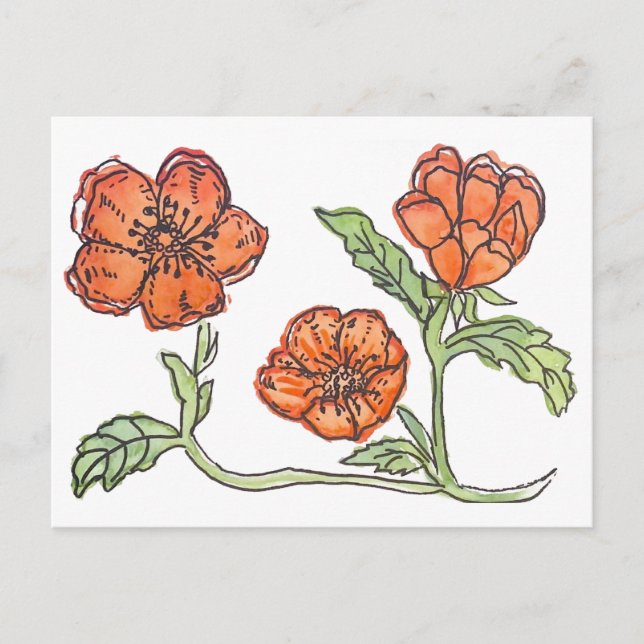 Little Poppy post card (Front)