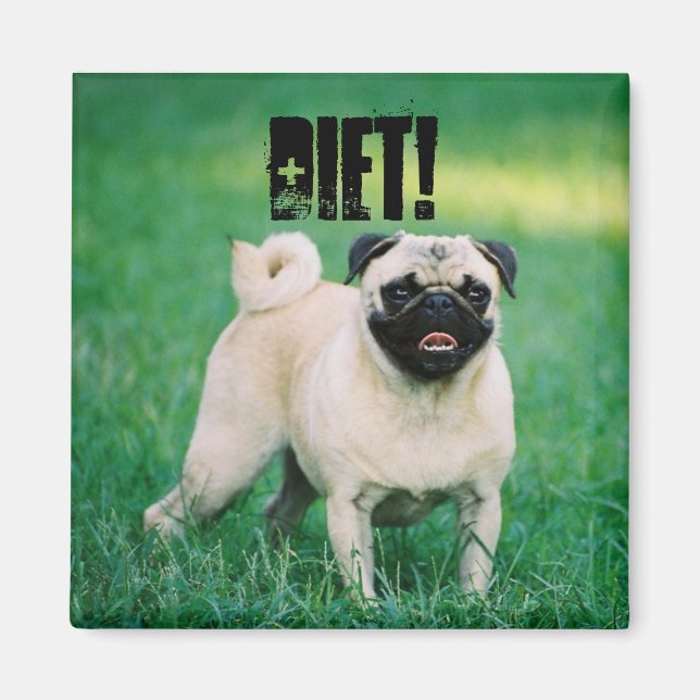LITTLE PUG REMINDS YOU YOU'RE ON A DIET! MAGNET (Front)
