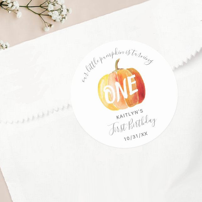 Little Pumpkin 1st Birthday Classic Round Sticker (Creator Uploaded)