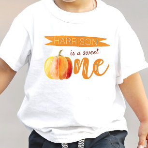 Little Pumpkin Fall 1st Birthday Baby T-Shirt