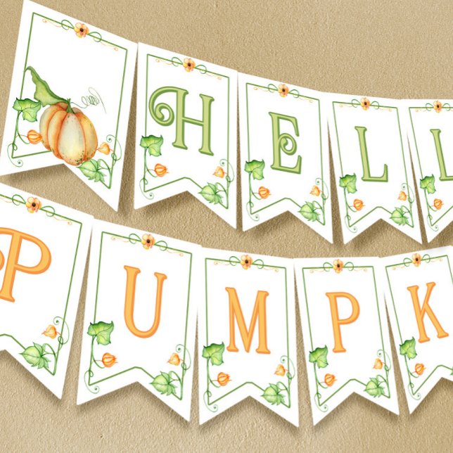 Little Pumpkin Fall Gender Neutral Baby Shower Bunting (Creator Uploaded)