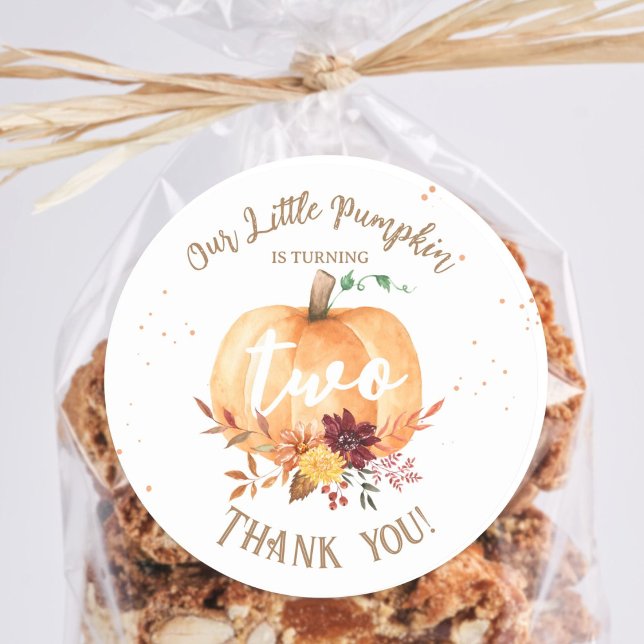 Little Pumpkin Gender Neutral Fall 2nd Birthday  Classic Round Sticker (Creator Uploaded)