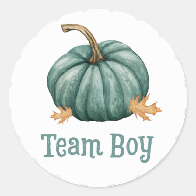 Little Pumpkin Gender Team Boy Reveal Stickers (Front)