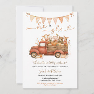 Little Pumpkin He or She Fall Farm Gender Reveal  Invitation