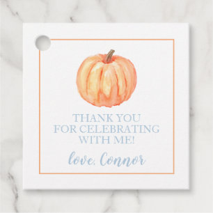 Little Pumpkin Pastel Blue first birthday Favour T Tags