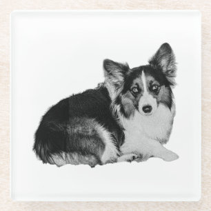 Little Pup, Big Personality Glass Coaster