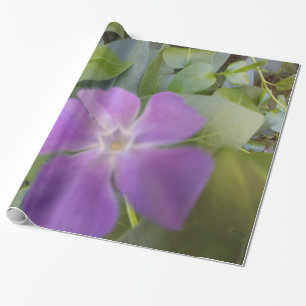 Little Purple Bloom Wrapping Paper