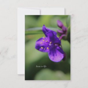 Little Purple Flower Up-close Card
