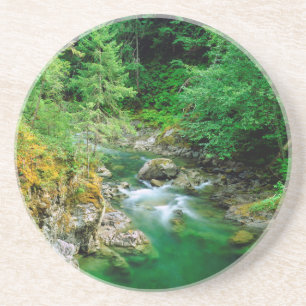 Little Qualicum River Coaster