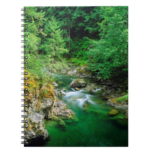 Little Qualicum River Notebook (Front)