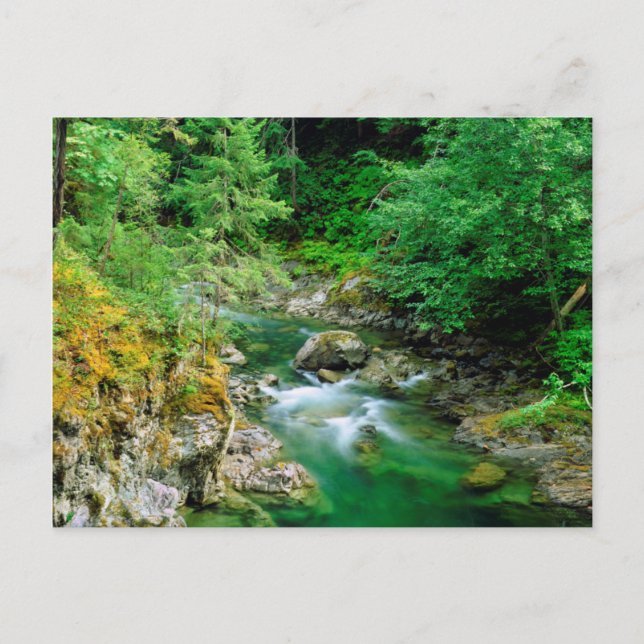 Little Qualicum River Postcard (Front)
