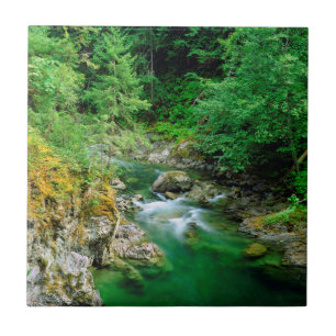 Little Qualicum River Tile