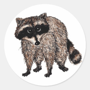 Little Racoon Classic Round Sticker