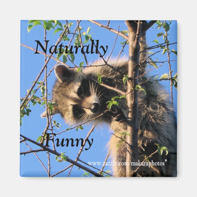 Little Racoon Magnet-customise Magnet (Front)