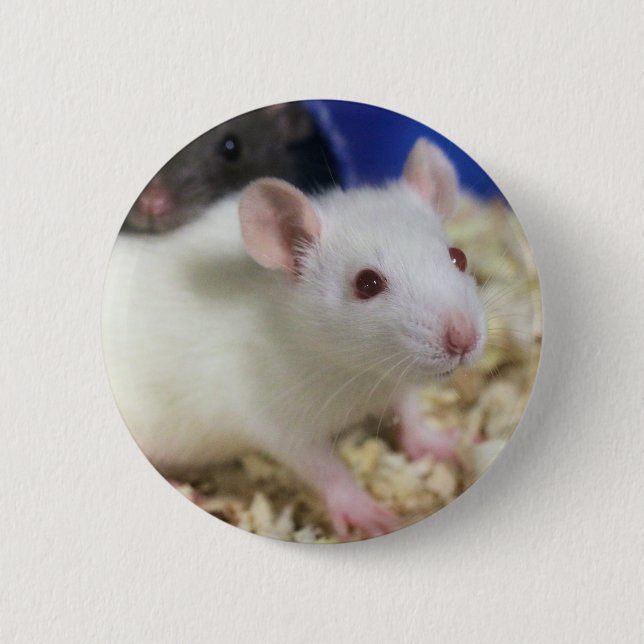 Little rat 6 cm round badge (Front)