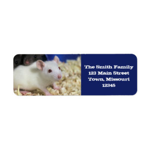 Little rat return address label