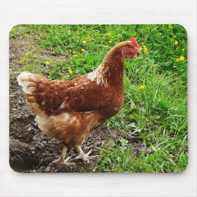 Little Red Chicken  - Free Range Egg Layer Mouse Pad (Front)