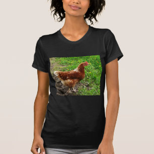 Little Red Chicken  - Free Range Egg Layer T-Shirt