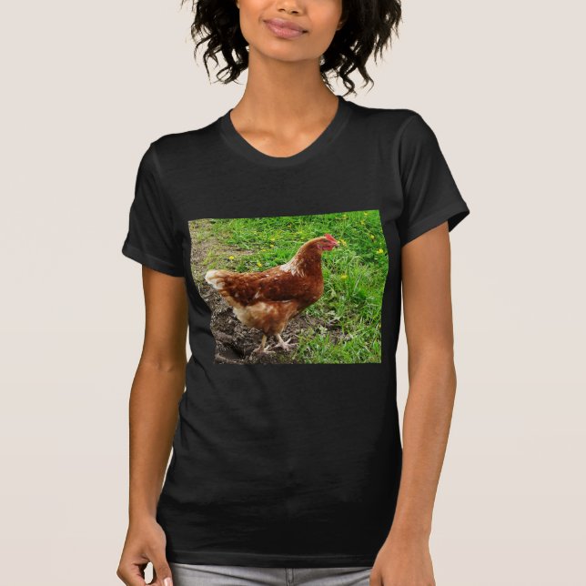 Little Red Chicken  - Free Range Egg Layer T-Shirt (Front)